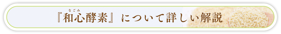 酵索について詳しい解説はコチラ