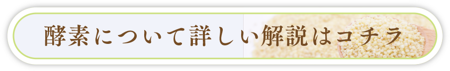 酵索について詳しい解説はコチラ